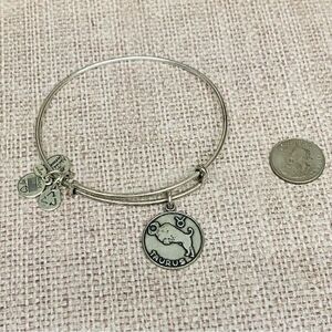 Alex‎ and Ani Silver Taurus Bracelet